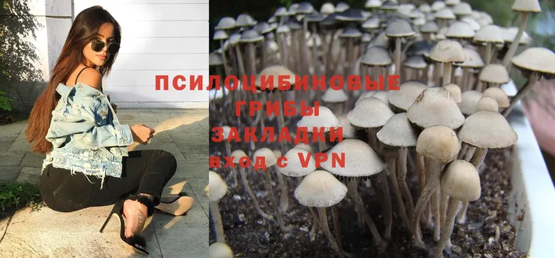 Галлюциногенные грибы Magic Shrooms  Грязи 